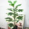 Cây bàng singapore đột biến giả để bàn