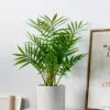 Chậu cây Cau Tiểu Trâm giả để bàn