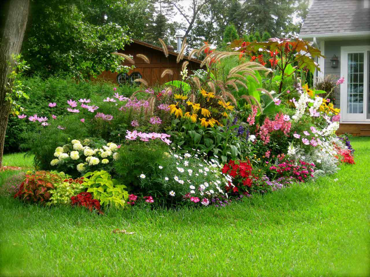 14 loại cây hoa cần thiết cho sân vườn bạn nên trồng » Cây xanh HCM