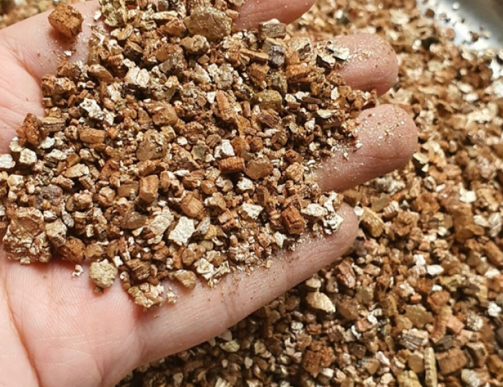 da vo mi trong cay - Đá Vermiculite là gì? công dụng của đá Vermiculite