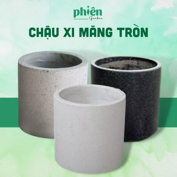 Chậu đá mài xi măng