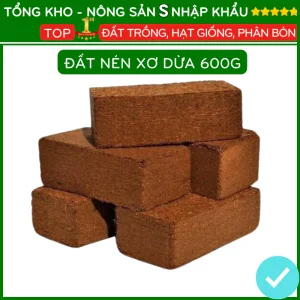 Đất trồng cây viên nén xơ dừa