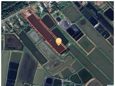 Bán đất 8952.3m² tại Xã Lợi An Huyện Trần Văn Thời