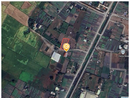 Bán đất 1,242.9m² 13 tỷ tại Xã Tân Thới Nhì Huyện Hóc Môn