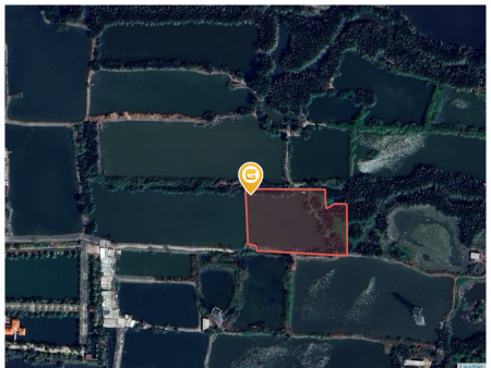 Bán đất 5400m² giá 17.82 tỷ tại Xã Bình Hưng Huyện Bình Chánh