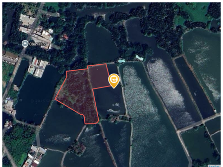 Bán đất 7000m² giá 23.1 tỷ tại Xã Bình Hưng Huyện Bình Chánh