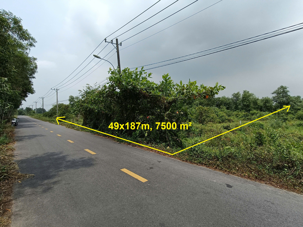 Bán đất mặt tiền đường Cá Lăng, xã Phú Hoà Đông Củ Chi, 49x187m, 7500m², 15 tỷ