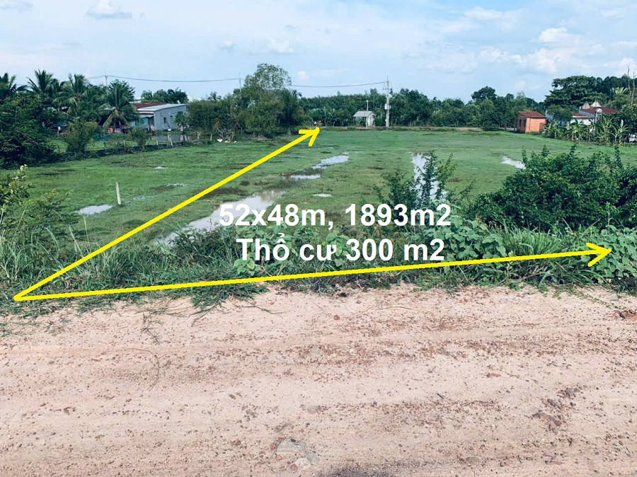 1893 m2 đất, 48(23)x52m, thổ cư 300m2, mặt tiền Kênh N31A, xã Trung Lập Hạ Củ Chi, phù hợp nhà vườn