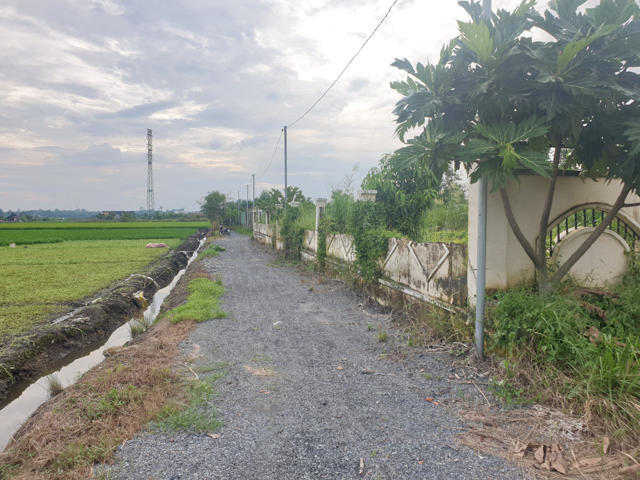 Bán đất vườn xã Bình Mỹ Củ Chi, vị trí đẹp cách Đ. Vành Đai 3 chỉ 500m, 15x37, 557m2 thích hợp nhà vườn