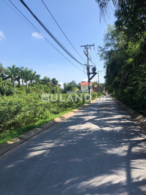 đất thổ  3 Mt đường Long Thuận Q9 .sát với viện bảo tàng áo dài
