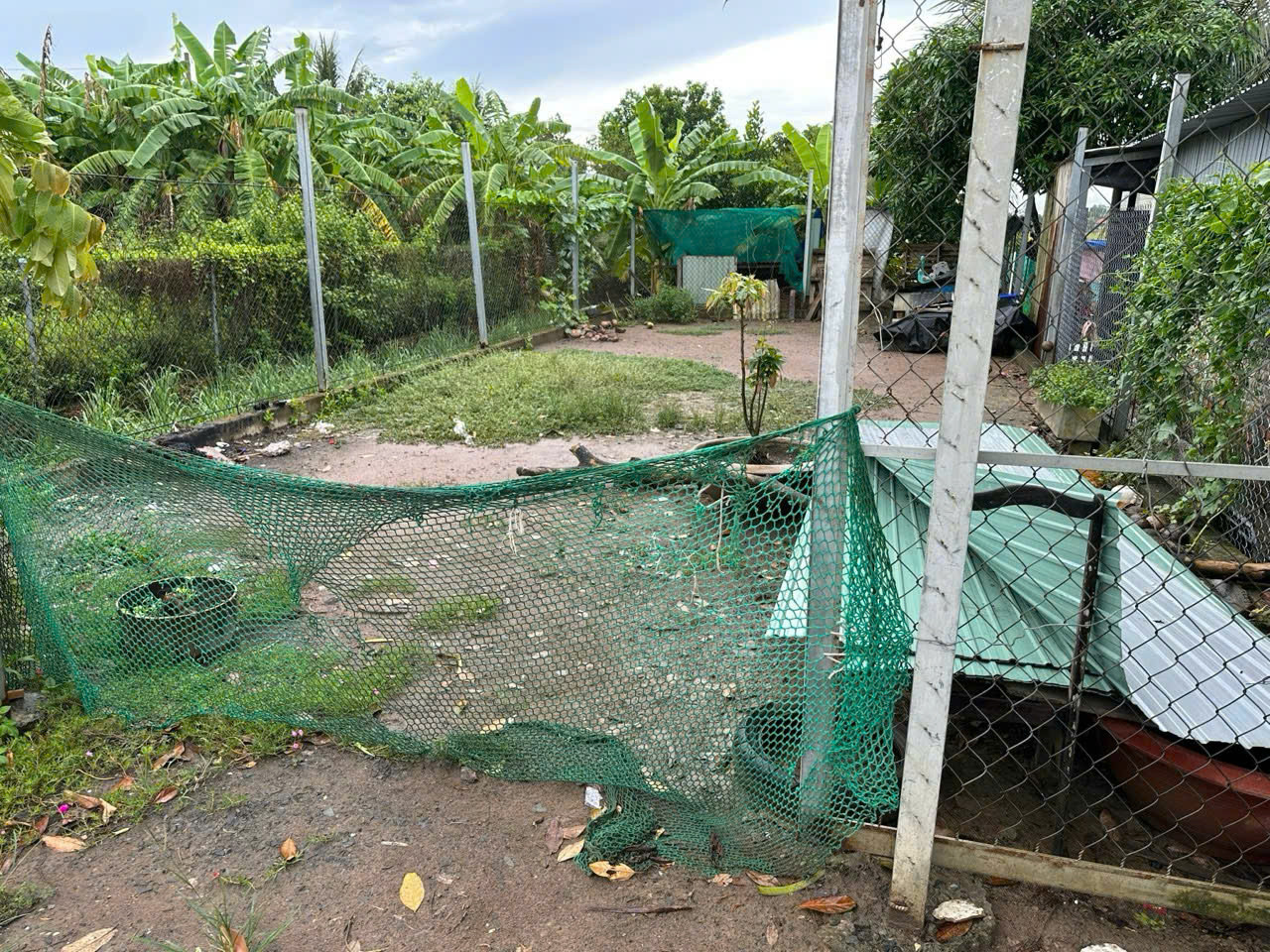 Đất đẹp 81m² – Quy Đức, Bình Chánh – Sổ sẵn, xây dựng ngay – Gần QL50, vị trí tiềm năng