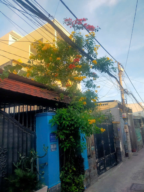 Bán nhà cấp 4 . Hẻm xe hơi đường số 42 . Đường Tam bình. Gần chợ 5 x26