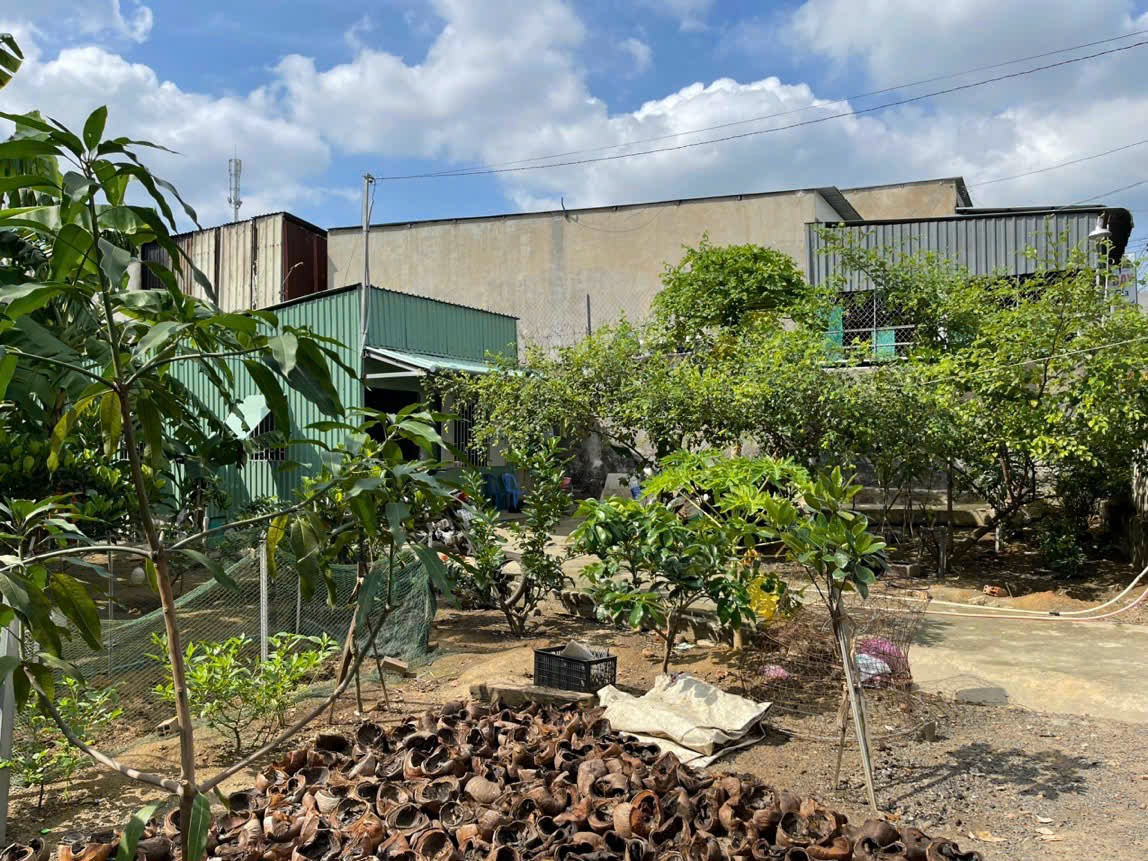 Bán đất 461.6m² ngang 15.5m giá 9.3 tỷ tại Phường Tân Bình Thị xã Dĩ An