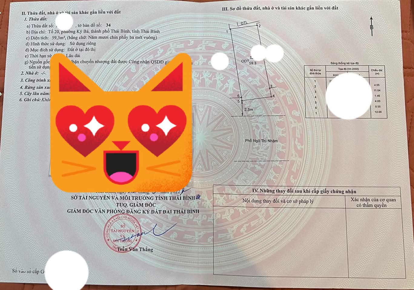 Mặt phố kinh doanh Ngô Thì Nhậm tp.Thái Bình