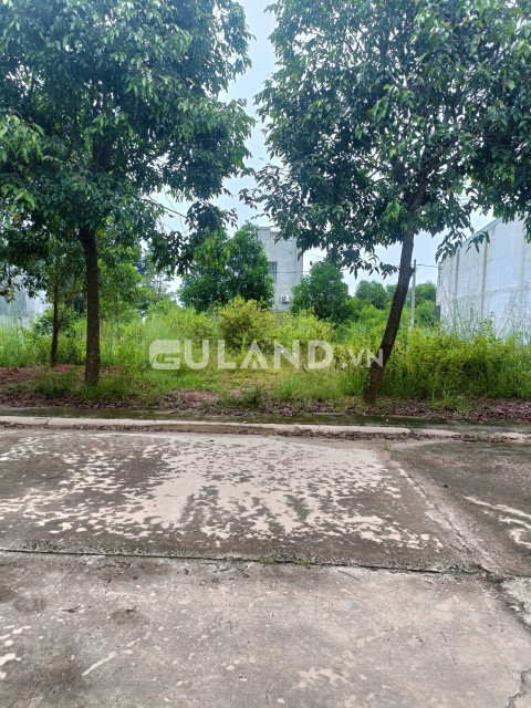 Bán đất thổ cư 150m² , giá 1.65 tỷ tại, Phường Thới Hòa, Thị xã Bến Cát, Bình Dương