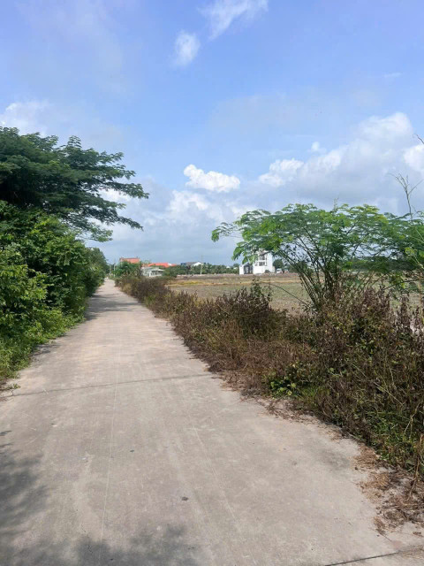 Bán đất 490.5m² ngang 10m giá 3.5 tỷ tại Thị trấn Đức Hòa Huyện Đức Hòa