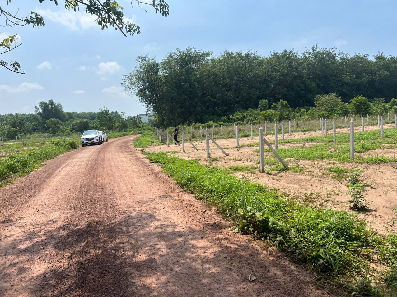 Bán đất An Điền Bến Cát Bình Dương 5x40, giá 1ty180