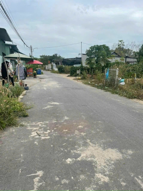 Bán đất An Tây Bến Cát Bình Dương
