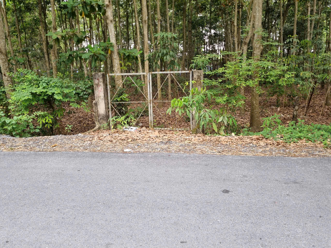 (B465) Đất 1/ Nguyễn Thị Nê, xã Phú Hòa Đông, dt 1.273m2, thổ cư 600m2, giá 10 tỷ TL