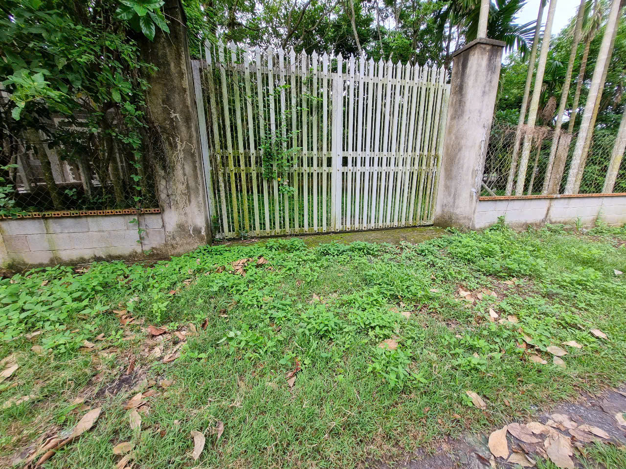 (B497) Đất  (có nhà ) xã Phú Hòa Đông, dt 1.653m2 giá 6 tỷ 500