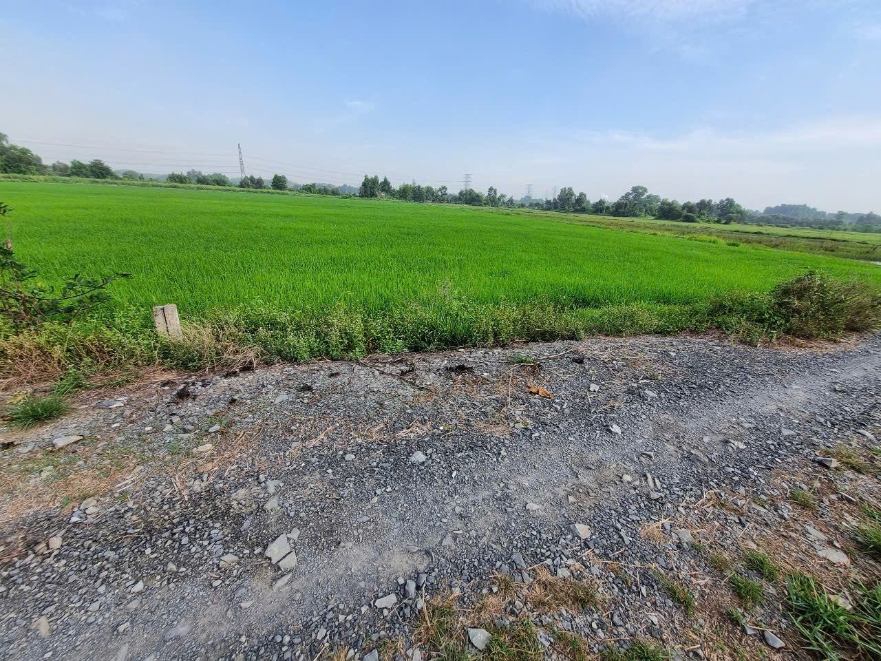 (B445) Đất cây lâu năm, xã Phú Hòa Đông, dt 4.792m2, giá 2,6tr/m2