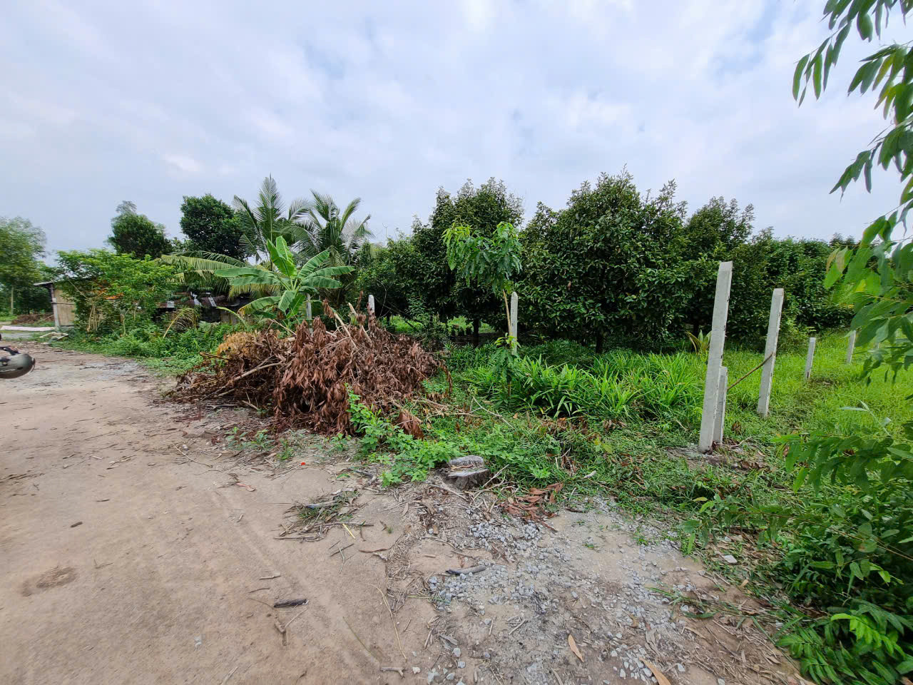 (L394)( Đã bán ) Đất CLN mặt tiền Rạch Kinh gần sông Sài Gòn, dt 2.596m2, chỉ 3 tỷ 200