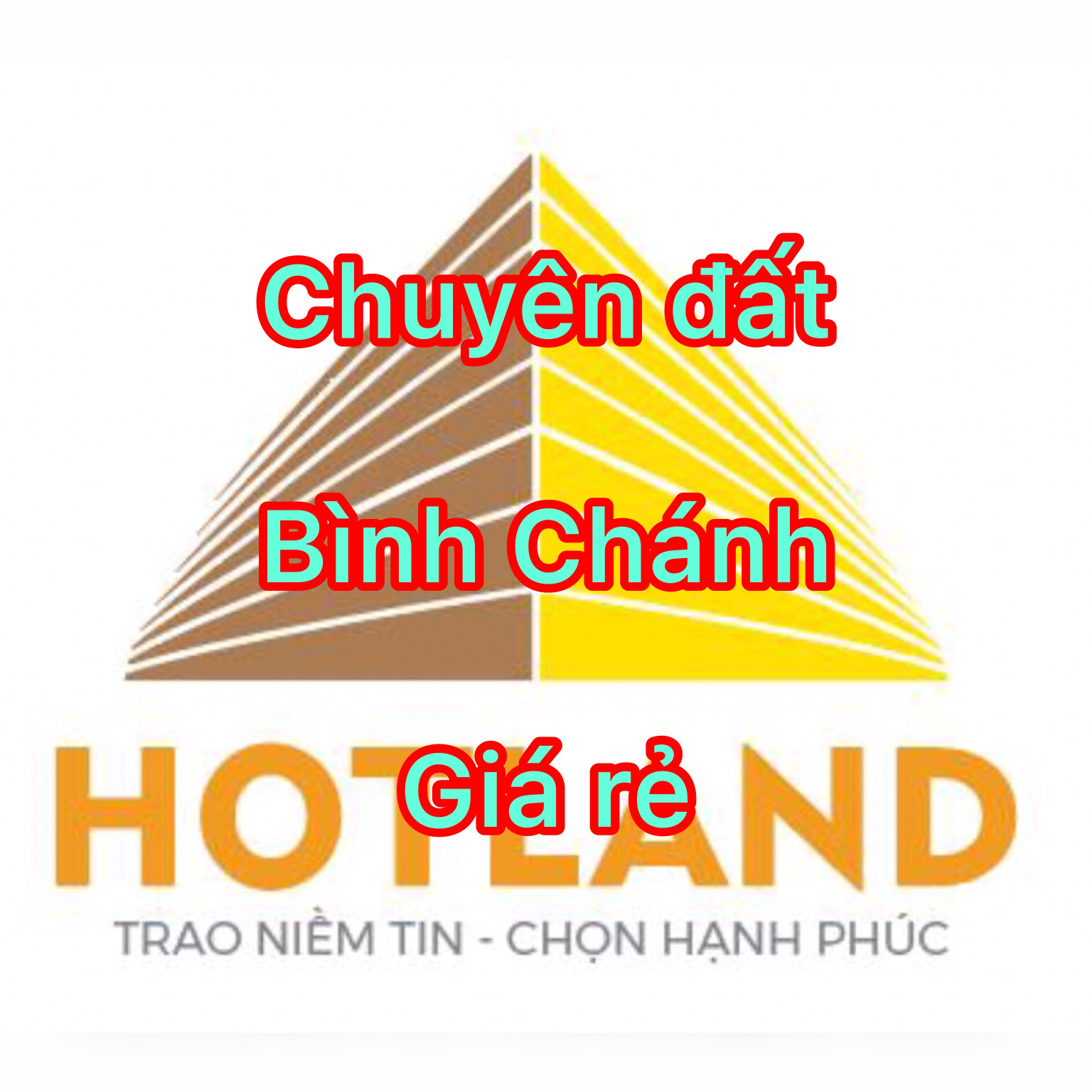 Bán đất 1400m² giá 5 tỷ tại Xã Tân Nhựt Huyện Bình Chánh