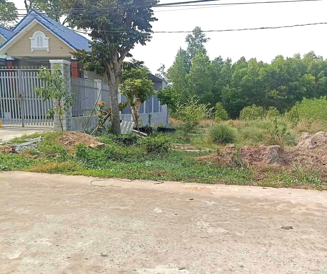 Bán nhà & đất 1.000m2 có nhà vào ở liền giá 900 triệu