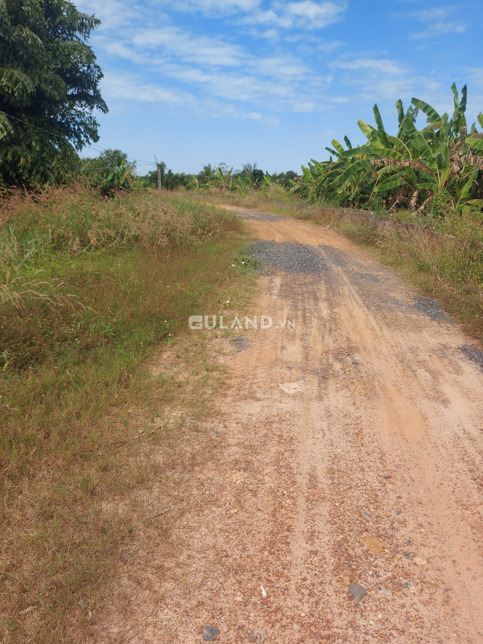 (B338) (Đã bán )  Đất mặt tiền Sông Sài Gòn, xã Trung An, dt 1923m2, thổ cư 500m2, đất ở khu dân cư, chỉ 6 tỷ