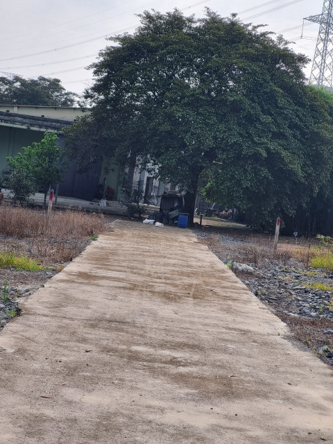 (S440)  (Đã bán ) Đất gần Sông Lu và Nguyễn Thị Hồng, xã Trung An, DT 1000m2, thổ 300m2, chỉ 2 tỷ 500