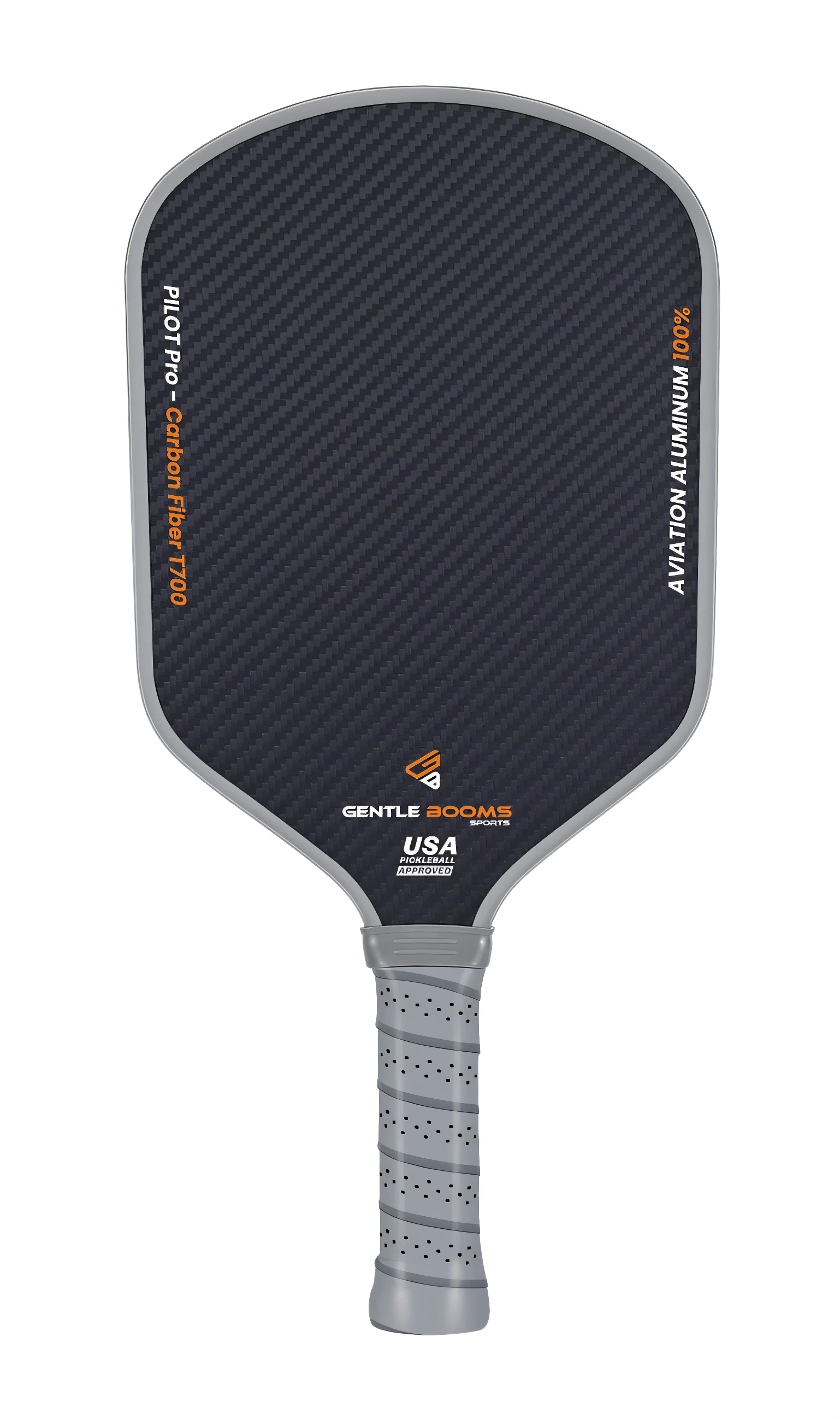 GBS Pilot Pro