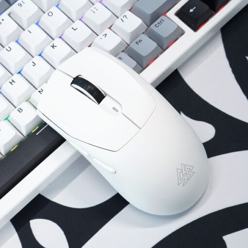 Máy bộ gaming Mèo bông Back to School 2025 - Ảnh 6