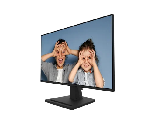 Màn hình MSI PRO MP252 25 inch IPS 100Hz mới chính hãng, bảo hành toàn quốc - Ảnh 2