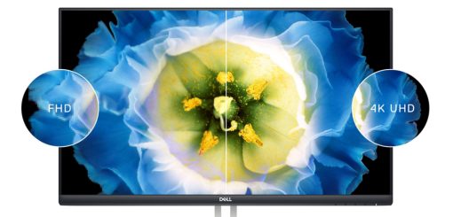 Màn hình Dell S2721QS 27 inch 4K UHD IPS - Ảnh 2
