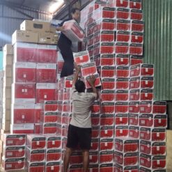 Máy in Laser đen trắng Pantum P3302DW