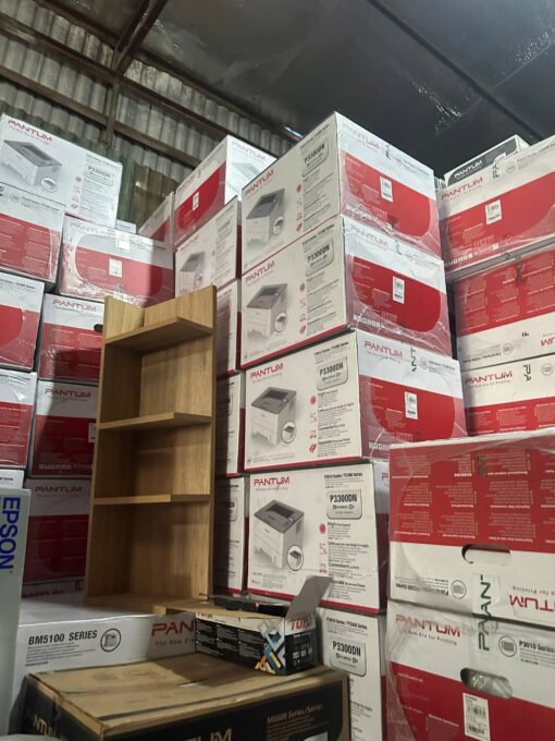 Máy in laser đen trắng Pantum P3010DW