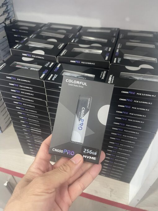 Ổ Cứng SSD 256GB Colorful CN600 PRO M2 NVMe