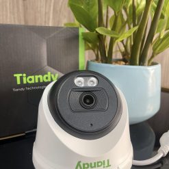 Camera IP Dome Tiandy 2.0MP TC-C320N