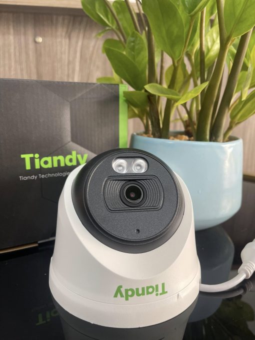 Camera IP Dome Tiandy 2.0MP TC-C320N