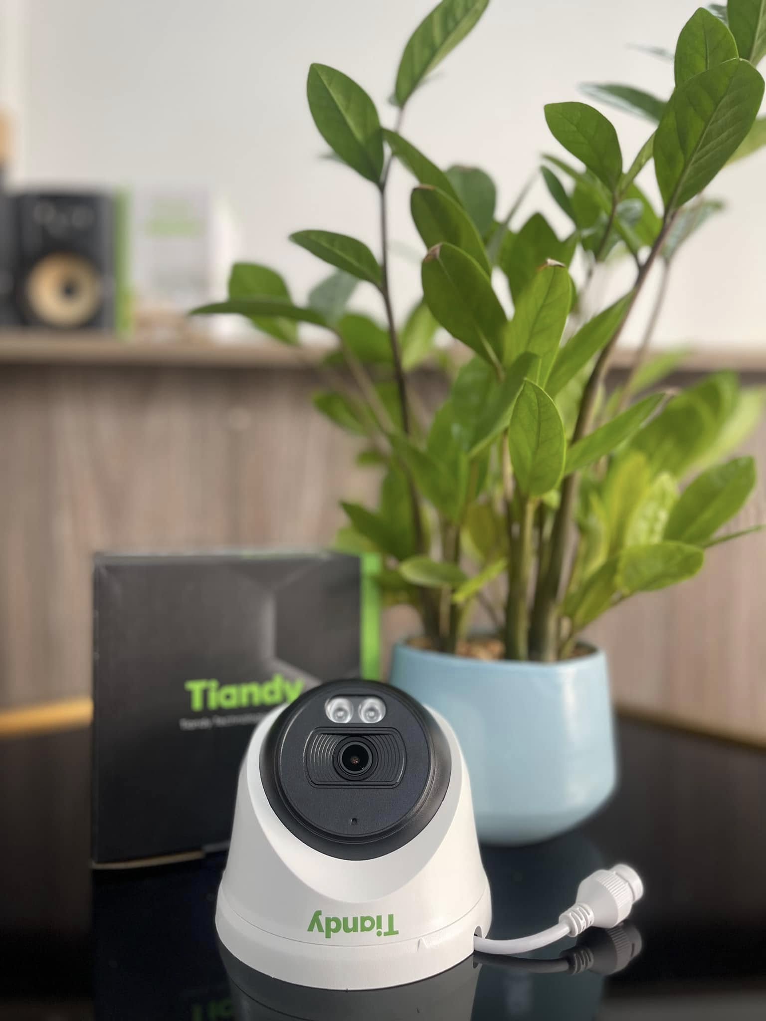 Camera IP Dome Tiandy 2.0MP TC-C320N
