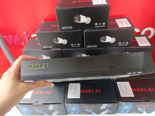 Đầu Thu Camera HAKI IP DS-HAKI-8810-4KAI - Ảnh 4