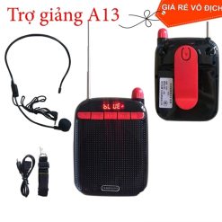 Loa Trợ Giảng SHUAE A13