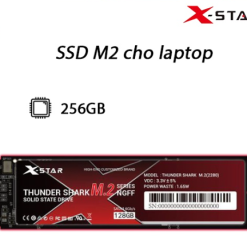 Ổ cứng SSD M2 Xstar 256gb