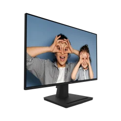 Màn hình MSI PRO MP252 25 inch IPS 100Hz