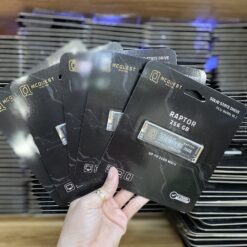 SSD McQuest Raptor 256GB M2