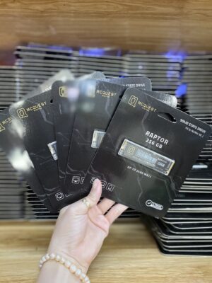 SSD McQuest Raptor 256GB M2
