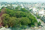 Khu đất số 1 Lý Thái Tổ, quận 10, TPHCM được phủ bởi hàng cây cổ thụ lâu năm. Ảnh: TBKTSG.
