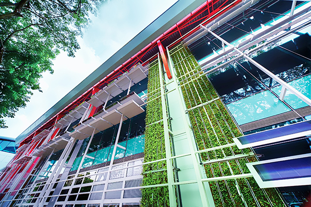   Bức tường xanh,    Khác với sản xuất oxy, cây xanh dọc có những lợi ích của       việc giảm truyền nhiệt và giảm hiệu ứng đảo nhiệt đô thị