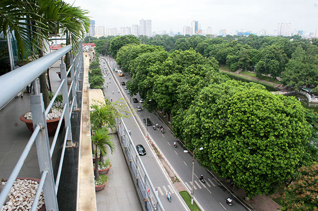 Cây xanh góp phần mang lại thương hiệu cho Hà Nội