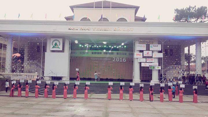Festival1